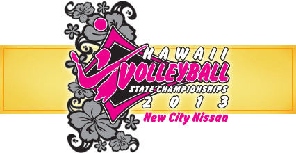 Banner-2013-volleyball