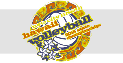 2015-volleyball-banner
